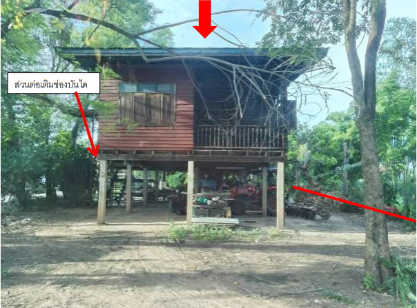 ขายทอดตลาด ที่ดินพร้อมสิ่งปลูกสร้าง ต.ดงประคำ อ.พรหมพิราม จ.พิษณุโลก