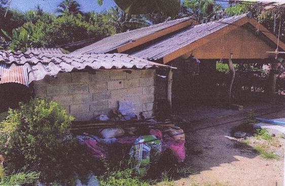 ขายทอดตลาด ที่ดินพร้อมสิ่งปลูกสร้าง ต.ทรายขาว อ.คลองท่อม จ.กระบี่
