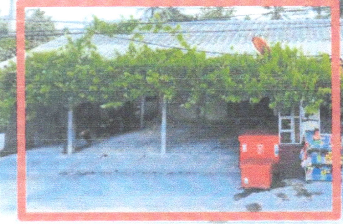 ขายทอดตลาด ที่ดินพร้อมสิ่งปลูกสร้าง ต.ปากล่อ อ.โคกโพธิ์ จ.ปัตตานี