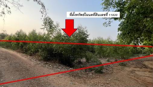 ขายทอดตลาด ที่ดินว่างเปล่า จ.กาฬสินธุ์