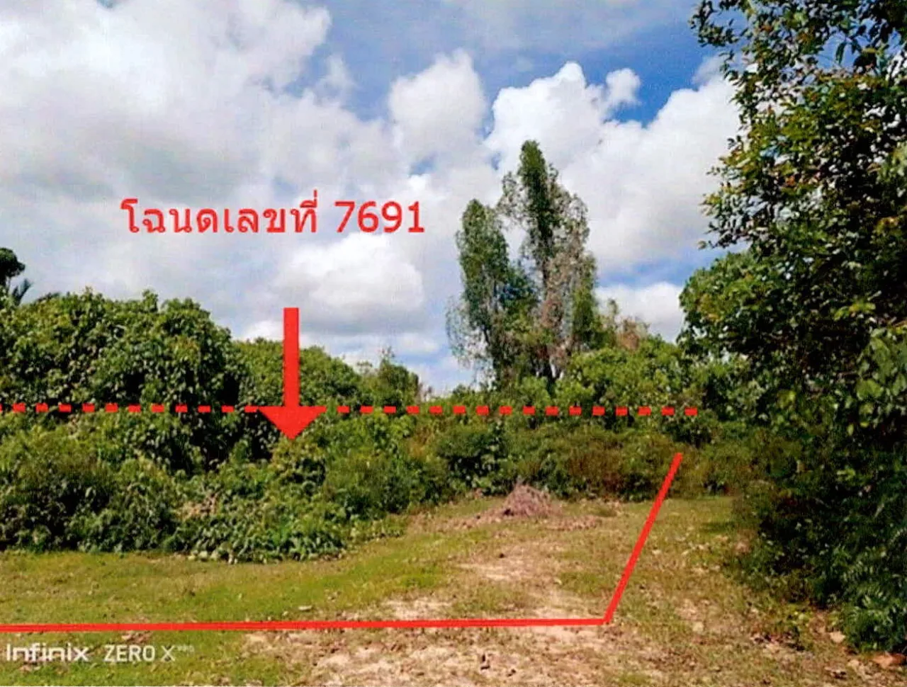 ขายทอดตลาด ที่ดินว่างเปล่า ต.โคกโพธิ์ อ.โคกโพธิ์ จ.ปัตตานี