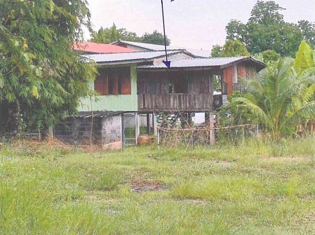 ขายทอดตลาด ที่ดินพร้อมสิ่งปลูกสร้าง ต.แม่ระกา อ.วังทอง จ.พิษณุโลก