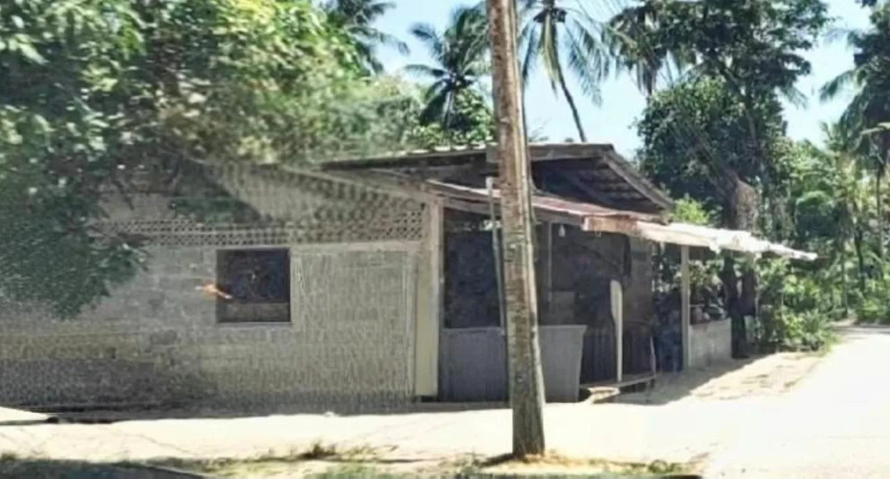 ขายทอดตลาด ที่ดินพร้อมสิ่งปลูกสร้าง ต.กะรุบี อ.กะพ้อ จ.ปัตตานี