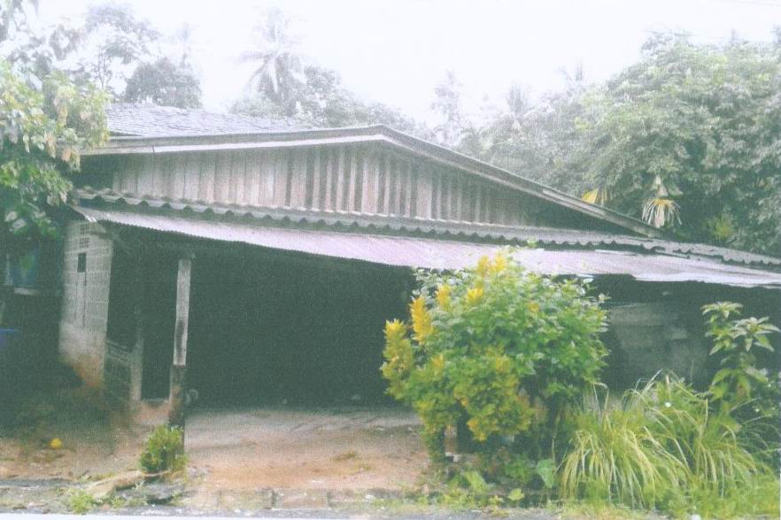 ขายทอดตลาด ที่ดินพร้อมสิ่งปลูกสร้าง ต.พิเทน อ.ทุ่งยางแดง จ.ปัตตานี