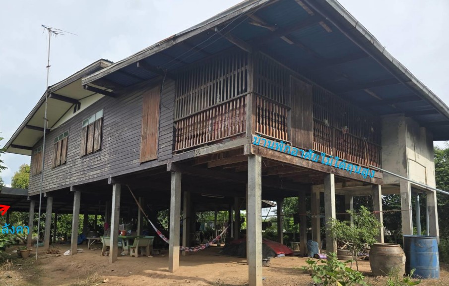 ขายทอดตลาด ที่ดินพร้อมสิ่งปลูกสร้าง ต.นครป่าหมาก อ.บางกระทุ่ม จ.พิษณุโลก