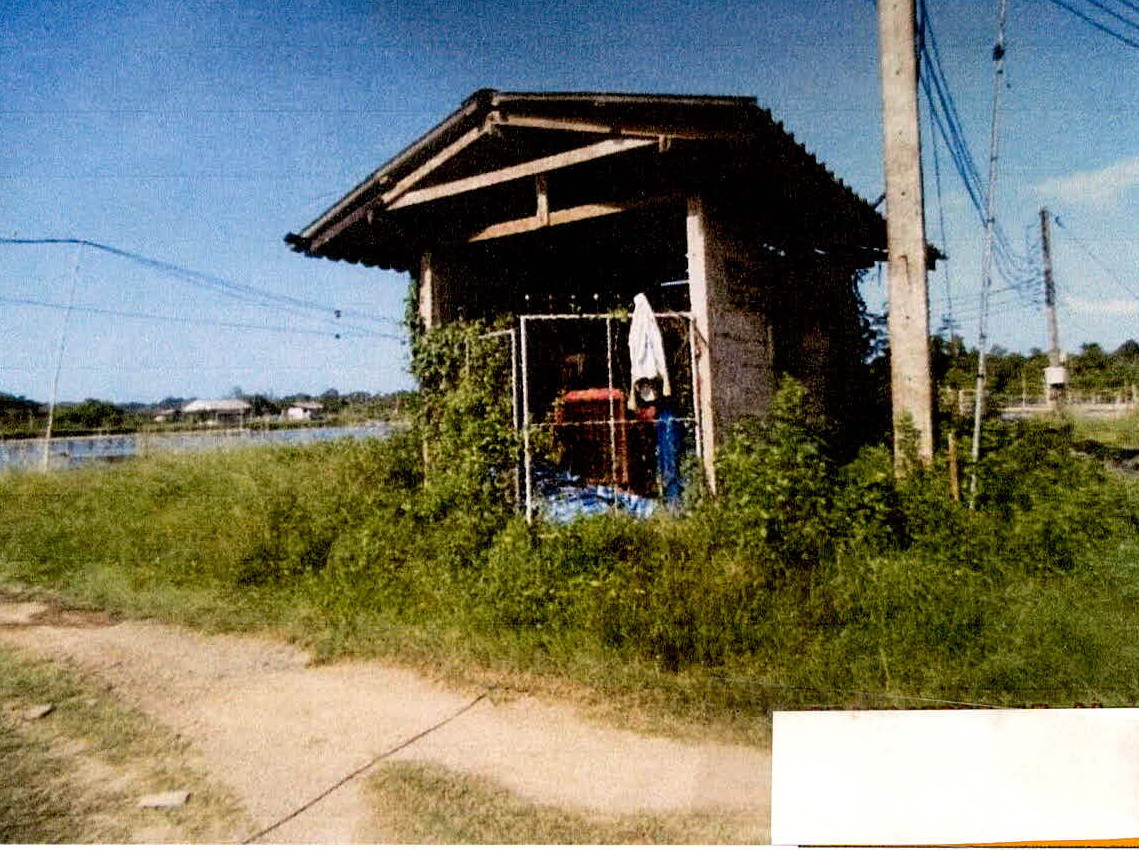 ขายทอดตลาด ที่ดินพร้อมสิ่งปลูกสร้าง จ.ปัตตานี