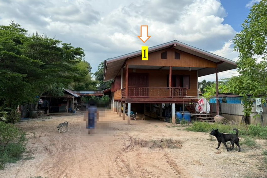 ขายทอดตลาด ที่ดินพร้อมสิ่งปลูกสร้าง ต.วัดตายม อ.บางกระทุ่ม จ.พิษณุโลก