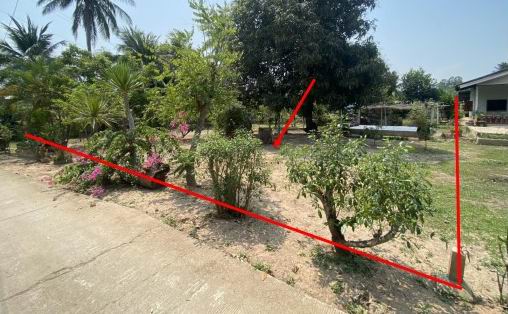 ขายทอดตลาด ที่ดินพร้อมสิ่งปลูกสร้าง ต.มะต้อง อ.พรหมพิราม จ.พิษณุโลก