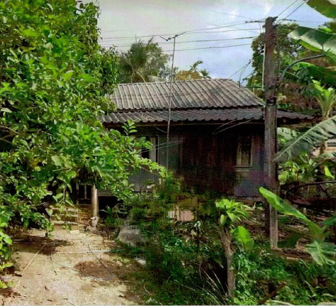 ขายทอดตลาด ที่ดินพร้อมสิ่งปลูกสร้าง ต.ละหาร อ.สายบุรี จ.ปัตตานี
