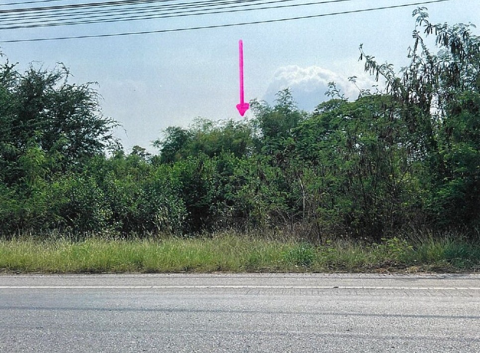 ขายทอดตลาด ที่ดินว่างเปล่า ต.ทางกลาง อ.บางปะหัน จ.พระนครศรีอยุธยา