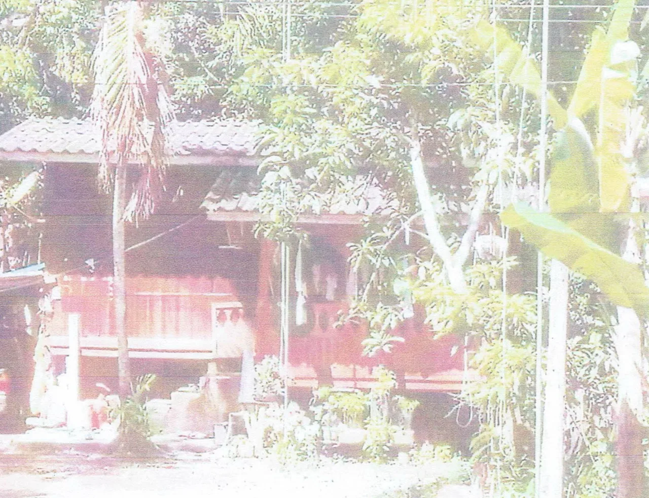 ขายทอดตลาด ที่ดินพร้อมสิ่งปลูกสร้าง ต.กระโด อ.ยะรัง จ.ปัตตานี
