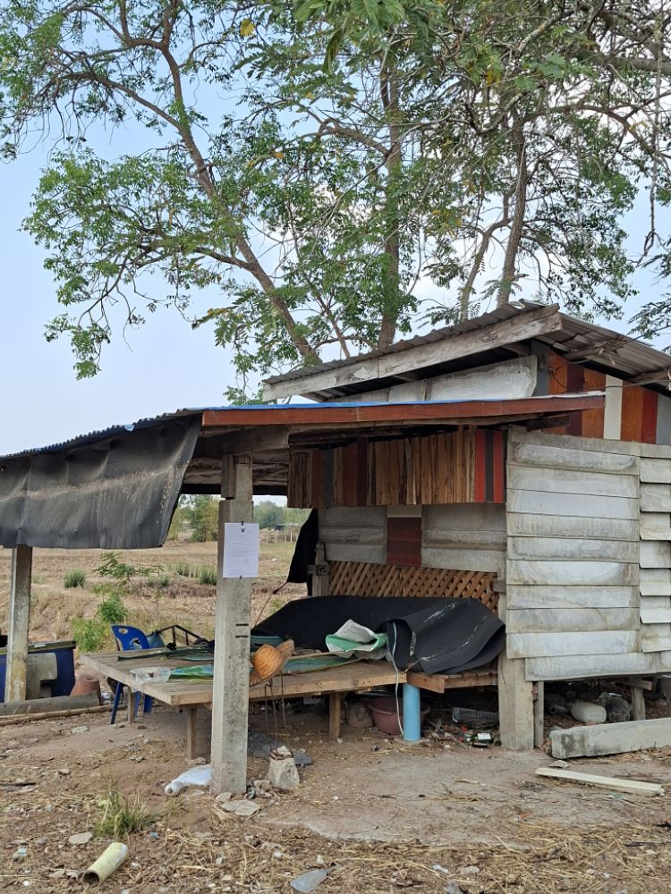ขายทอดตลาด ที่ดินพร้อมสิ่งปลูกสร้าง ต.แวงน่าง อ.เมืองมหาสารคาม จ.มหาสารคาม