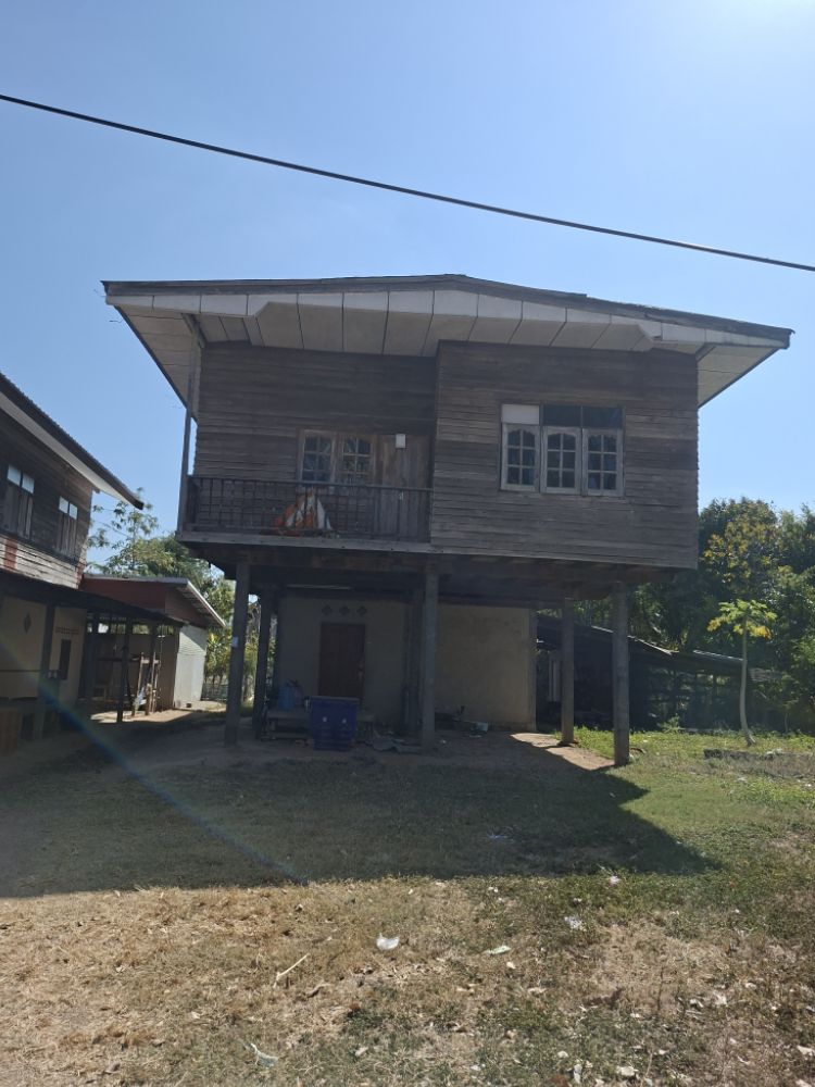 ขายทอดตลาด ที่ดินพร้อมสิ่งปลูกสร้าง ต.ดงยาง อ.นาดูน จ.มหาสารคาม