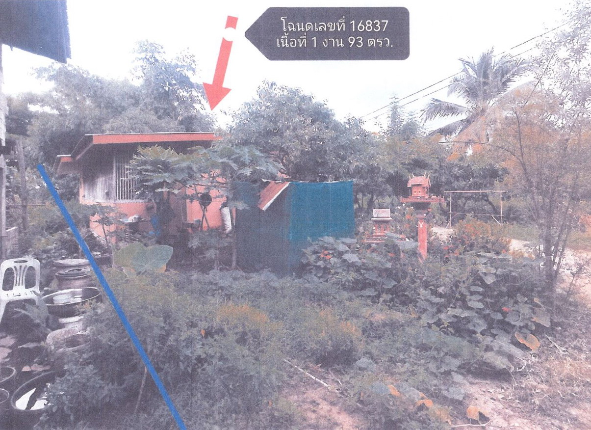 ขายทอดตลาด ที่ดินพร้อมสิ่งปลูกสร้าง ต.ดินทอง อ.วังทอง จ.พิษณุโลก