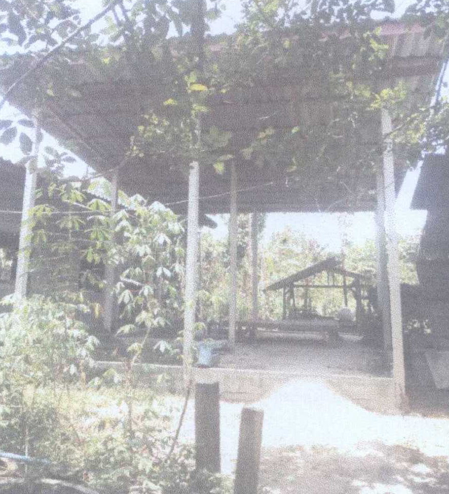 ขายทอดตลาด ที่ดินพร้อมสิ่งปลูกสร้าง ต.ปล่องหอย อ.กะพ้อ จ.ปัตตานี