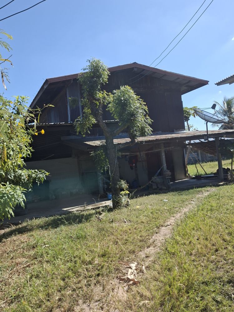 ขายทอดตลาด ที่ดินพร้อมสิ่งปลูกสร้าง ต.แคน อ.วาปีปทุม จ.มหาสารคาม