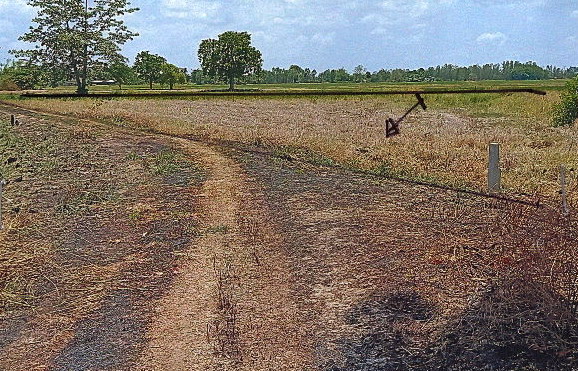 ขายทอดตลาด ที่ดินว่างเปล่า ต.ตลุกเทียม อ.พรหมพิราม จ.พิษณุโลก