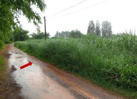 ขายทอดตลาด ที่ดินว่างเปล่า ต.หนองสรวง อ.หนองกุงศรี จ.กาฬสินธุ์