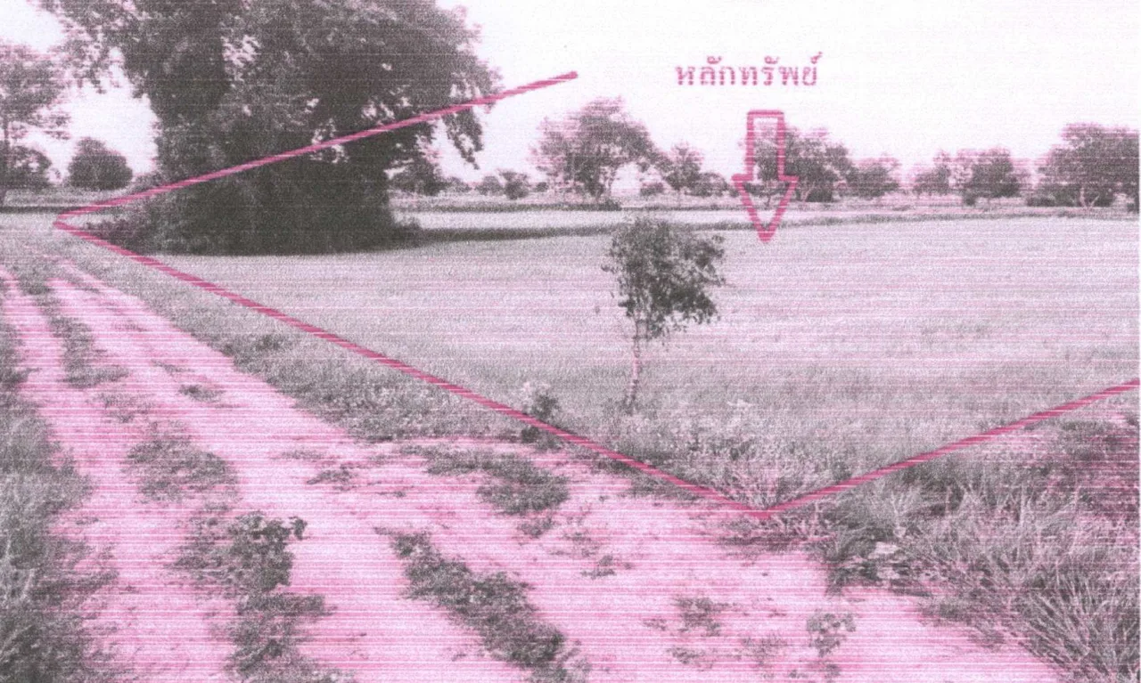 ขายทอดตลาด ที่ดินว่างเปล่า ต.ขามเรียน อ.ยางสีสุราช จ.มหาสารคาม
