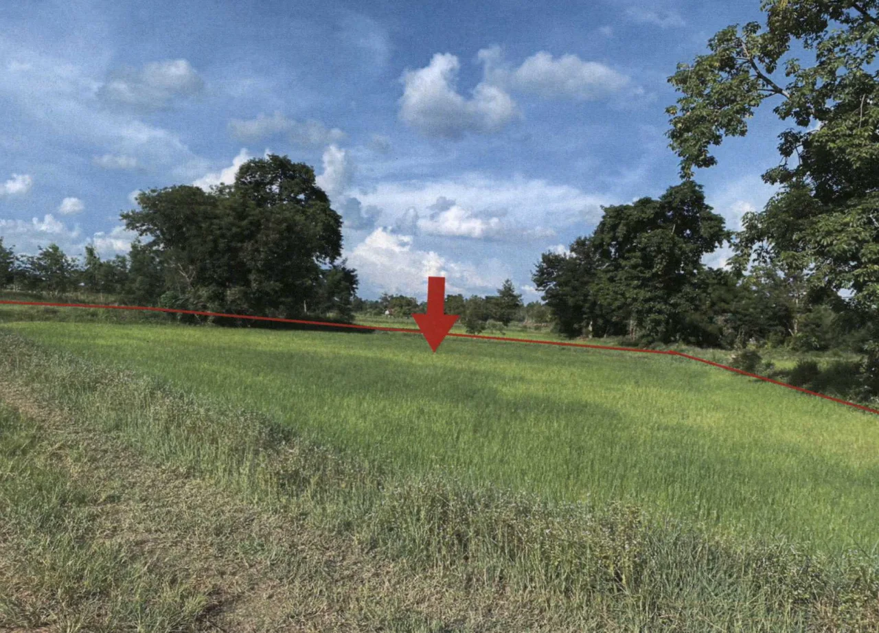 ขายทอดตลาด ที่ดินว่างเปล่า ต.หนองโน อ.เมืองมหาสารคาม จ.มหาสารคาม