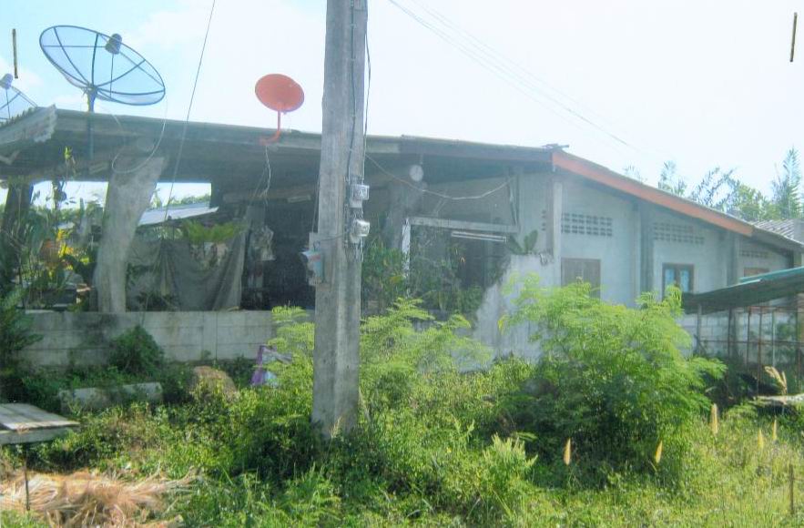 ขายทอดตลาด ที่ดินพร้อมสิ่งปลูกสร้าง ต.ตลิ่งชัน อ.เหนือคลอง จ.กระบี่
