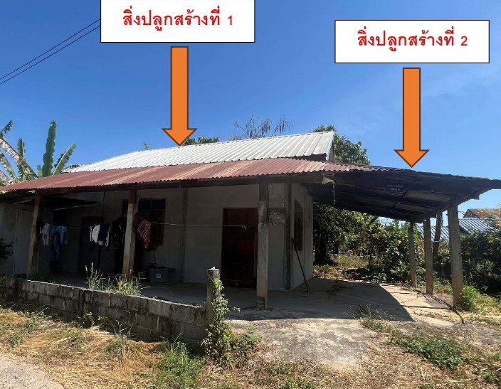 ขายทอดตลาด ที่ดินพร้อมสิ่งปลูกสร้าง ต.ยาง อ.บรบือ จ.มหาสารคาม