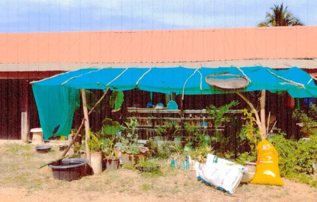 ขายทอดตลาด สิ่งปลูกสร้าง ต.คลองลานพัฒนา อ.คลองลาน จ.กำแพงเพชร