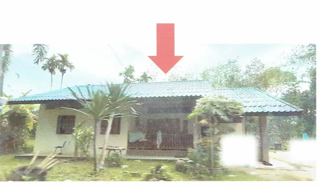 ขายทอดตลาด ที่ดินพร้อมสิ่งปลูกสร้าง ต.ทุ่งพลา อ.โคกโพธิ์ จ.ปัตตานี