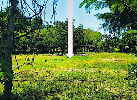 ขายทอดตลาด ที่ดินว่างเปล่า ต.บ้านกู่ อ.ยางสีสุราช จ.มหาสารคาม