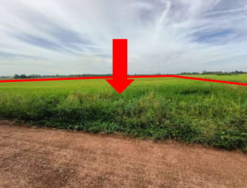ขายทอดตลาด ที่ดินว่างเปล่า ต.หนองกะท้าว อ.นครไทย จ.พิษณุโลก
