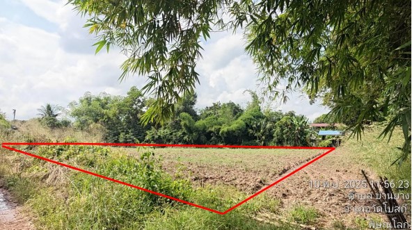 ขายทอดตลาด ที่ดินว่างเปล่า จ.ปทุมธานี