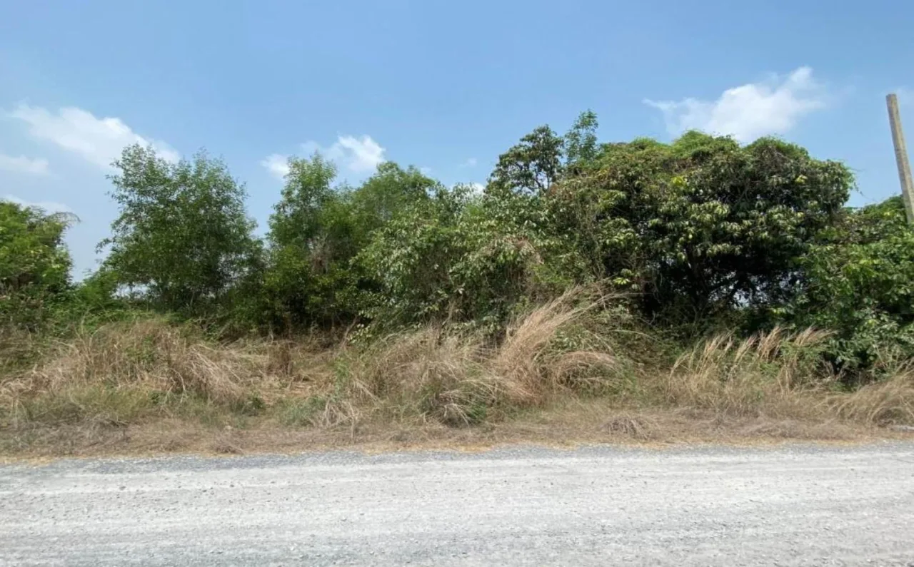 ขายทอดตลาด ที่ดินว่างเปล่า ต.สามเมือง อ.ลาดบัวหลวง จ.พระนครศรีอยุธยา