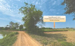 รูปทรัพย์ 2