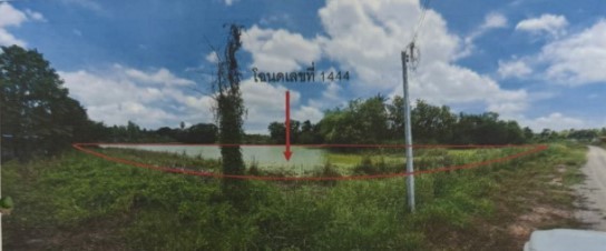 ขายทอดตลาด ที่ดินว่างเปล่า ต.วงฆ้อง อ.พรหมพิราม จ.พิษณุโลก