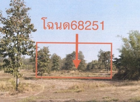 ขายทอดตลาด ที่ดินว่างเปล่า ต.งัวบา อ.วาปีปทุม จ.มหาสารคาม