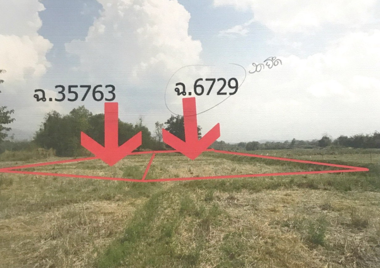 ขายทอดตลาด ที่ดินว่างเปล่า ต.นาบัว อ.นครไทย จ.พิษณุโลก