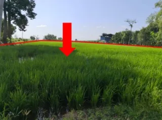รูปทรัพย์ 1