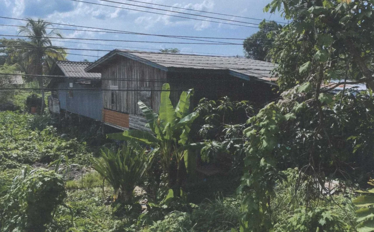 ขายทอดตลาด ที่ดินพร้อมสิ่งปลูกสร้าง ต.เมาะมาวี อ.ยะรัง จ.ปัตตานี
