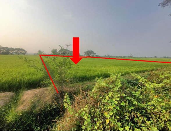 ขายทอดตลาด ที่ดินว่างเปล่า จ.พิษณุโลก