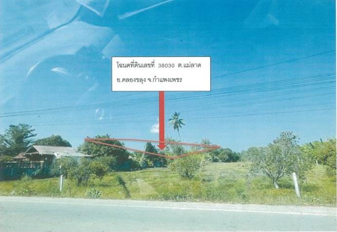 ขายทอดตลาด ที่ดินว่างเปล่า ต.แม่ลาด อ.คลองขลุง จ.กำแพงเพชร