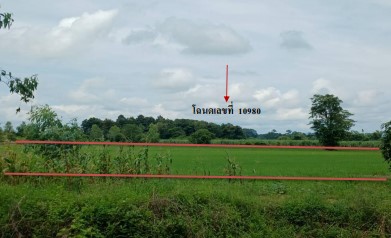 ขายทอดตลาด ที่ดินว่างเปล่า ต.เนินกุ่ม อ.บางกระทุ่ม จ.พิษณุโลก