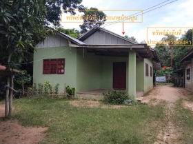 ขายทอดตลาด ที่ดินพร้อมสิ่งปลูกสร้าง ต.อุ่มเม่า อ.ยางตลาด จ.กาฬสินธุ์