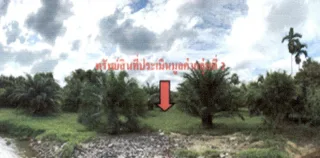 รูปทรัพย์ 1