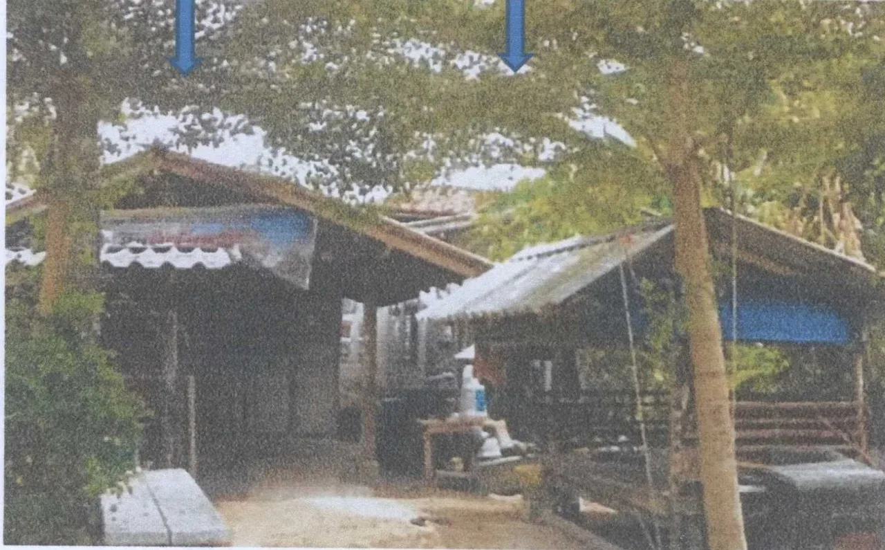 ขายทอดตลาด ที่ดินพร้อมสิ่งปลูกสร้าง ต.ปิยามุมัง อ.ยะหริ่ง จ.ปัตตานี