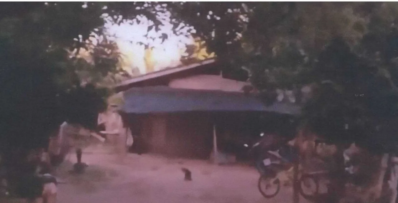 ขายทอดตลาด ที่ดินพร้อมสิ่งปลูกสร้าง ต.ม่วงเตี้ย อ.แม่ลาน จ.ปัตตานี