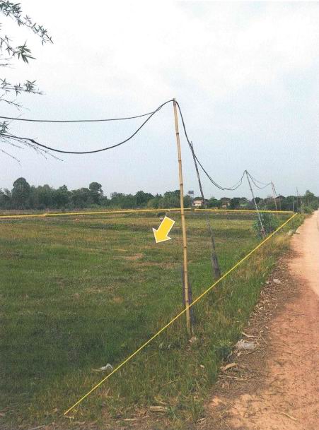 ขายทอดตลาด ที่ดินว่างเปล่า ต.สามขา อ.กุฉินารายณ์ จ.กาฬสินธุ์