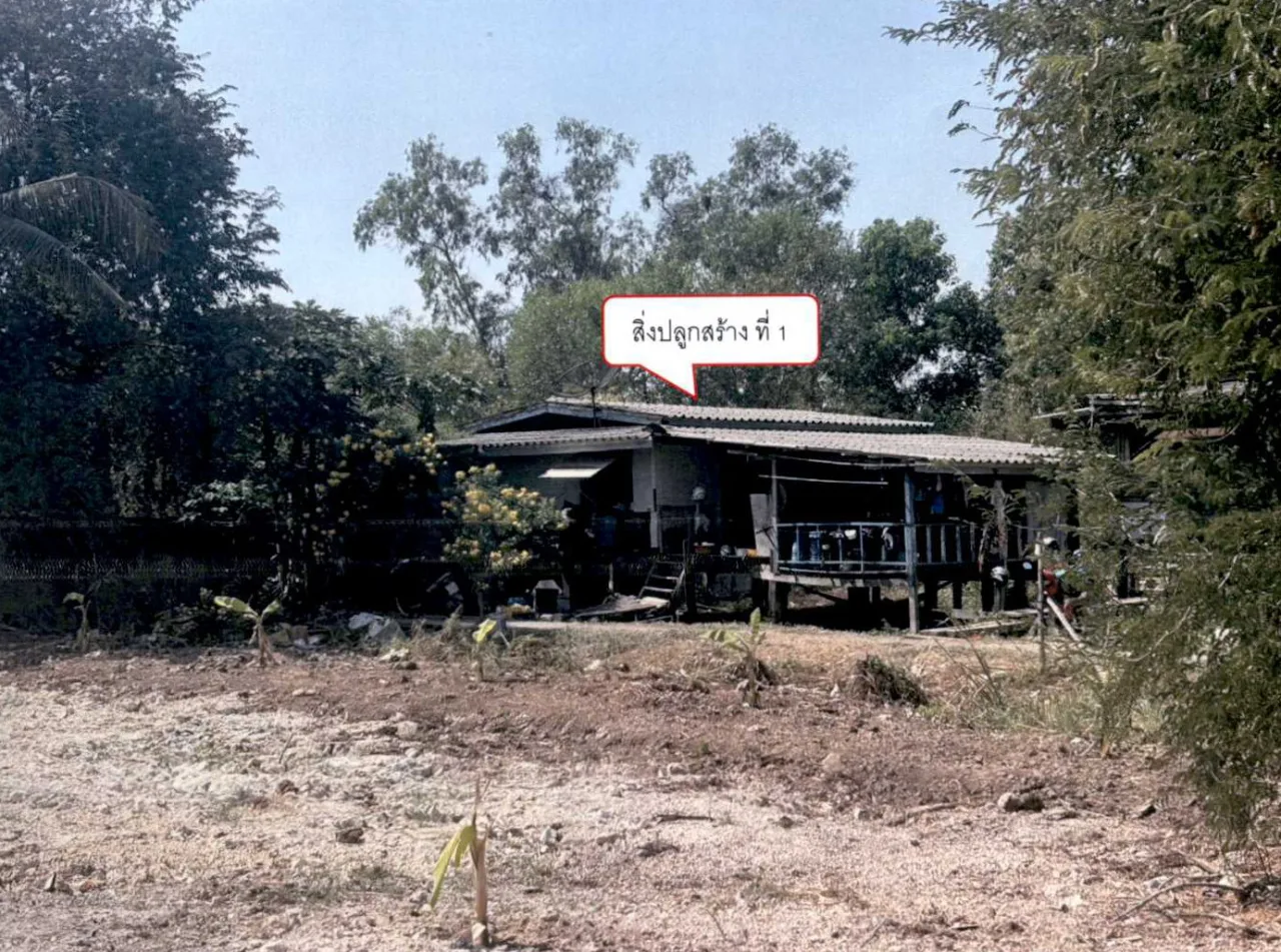 ขายทอดตลาด ที่ดินพร้อมสิ่งปลูกสร้าง ต.บางกระสั้น อ.บางปะอิน จ.พระนครศรีอยุธยา