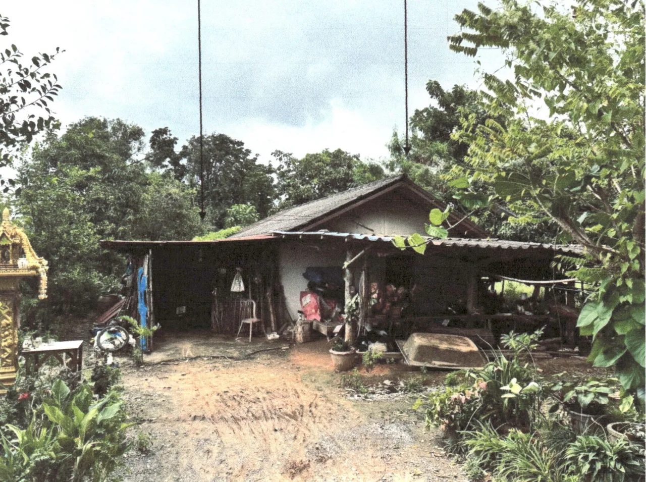 ขายทอดตลาด ที่ดินพร้อมสิ่งปลูกสร้าง ต.หัวรอ อ.เมืองพิษณุโลก จ.พิษณุโลก