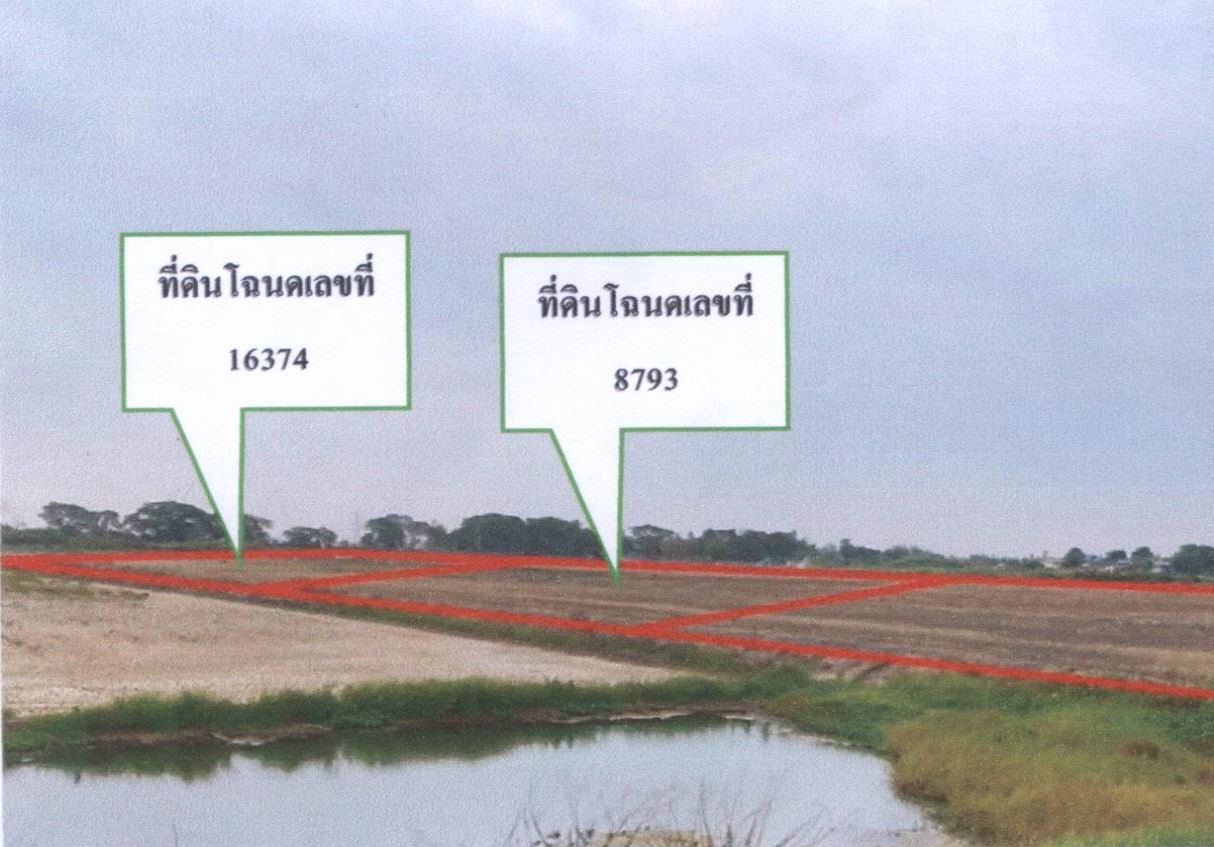 ขายทอดตลาด ที่ดินว่างเปล่า ต.ลาดน้ำเค็ม อ.ผักไห่ จ.พระนครศรีอยุธยา