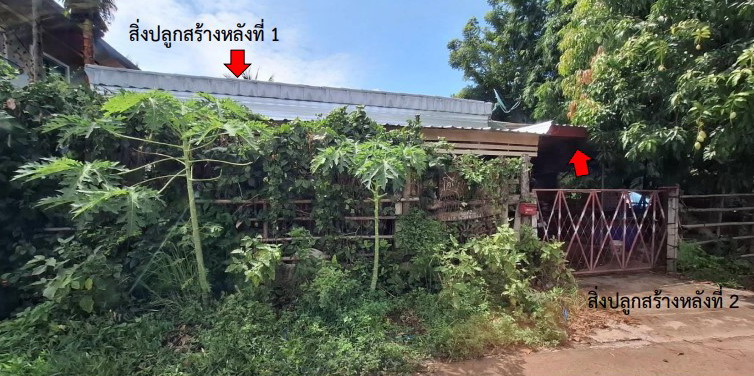 ขายทอดตลาด ที่ดินพร้อมสิ่งปลูกสร้าง ต.สมอแข อ.เมืองพิษณุโลก จ.พิษณุโลก